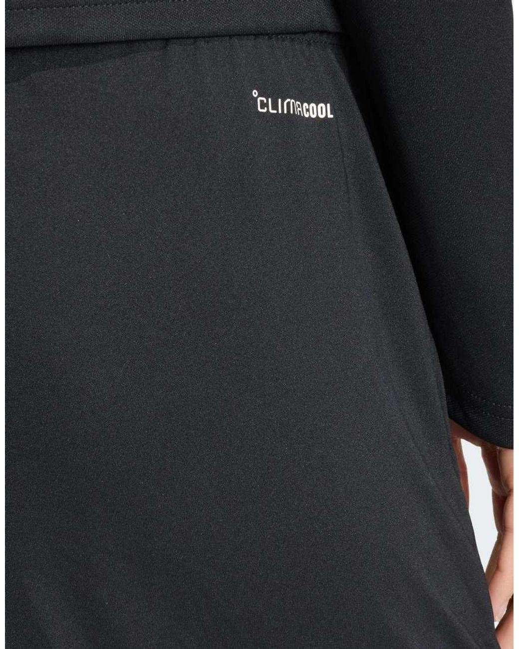 Adidas Originals Black Entrada26 Training Shorts