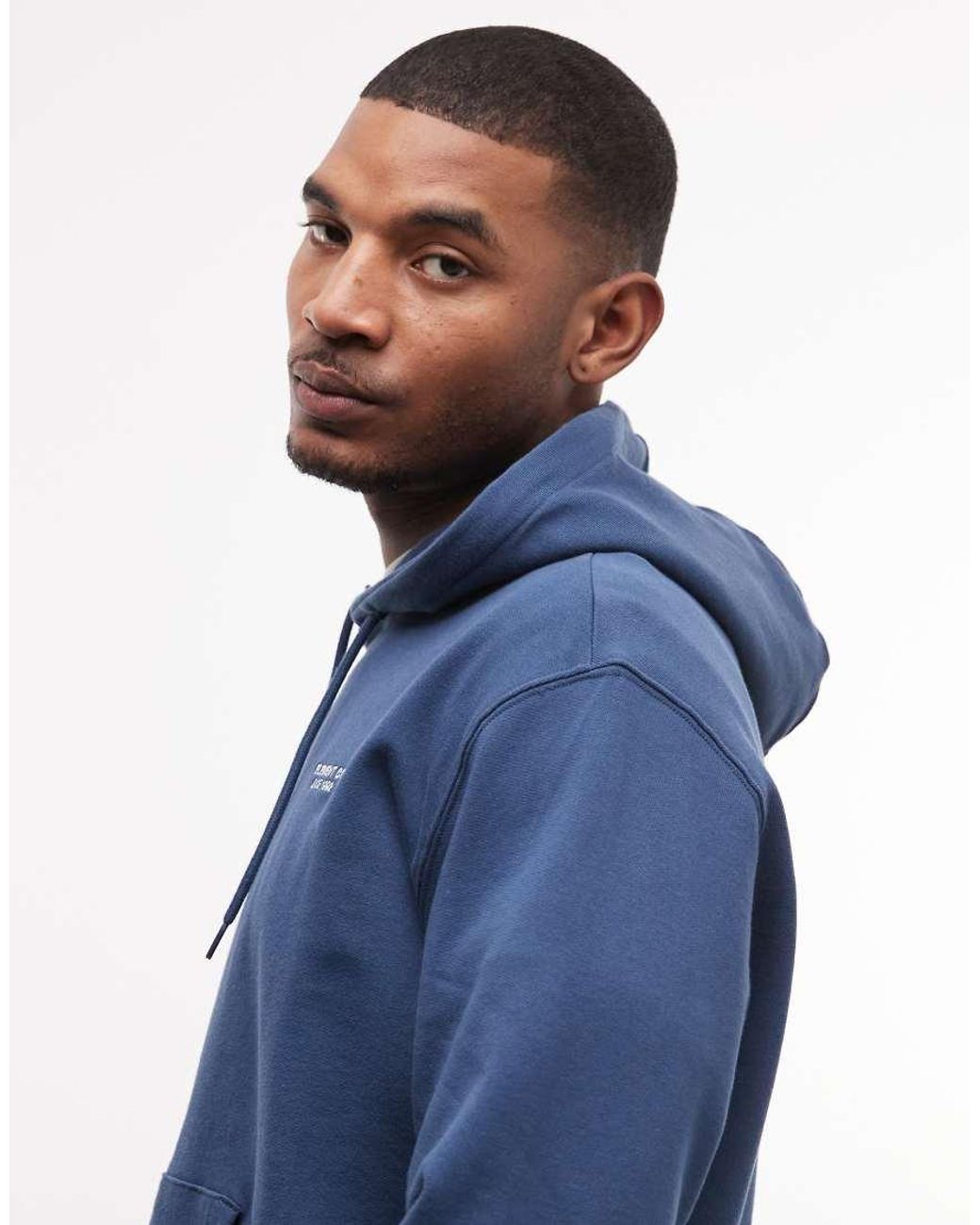 Element Blue Small Graphic Hoodie for men