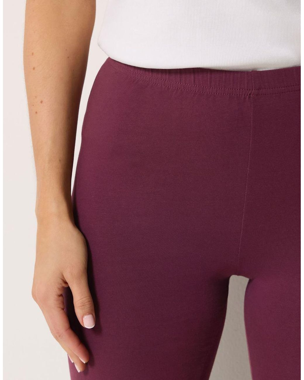 Long Tall Sally Purple Cotton Stretch Leggings