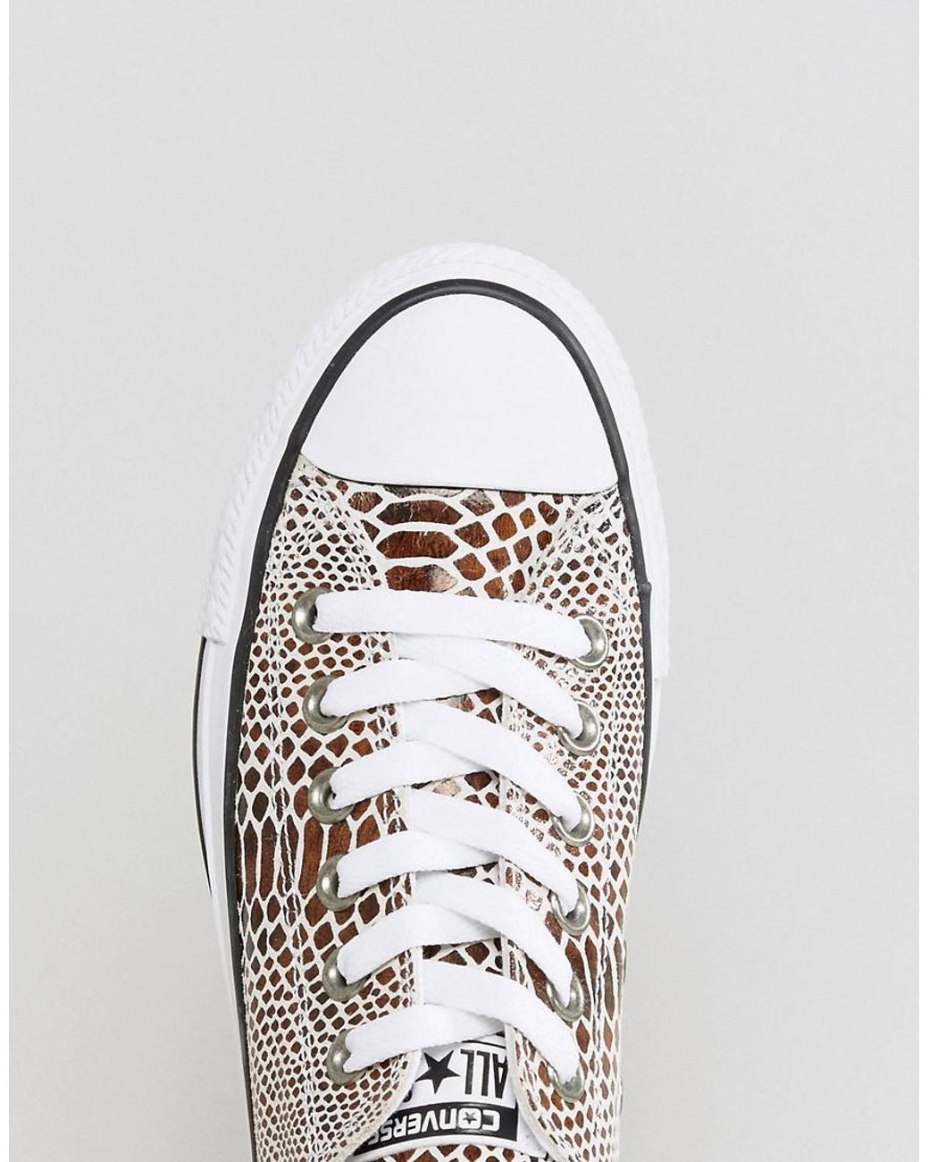 snakeskin converse low
