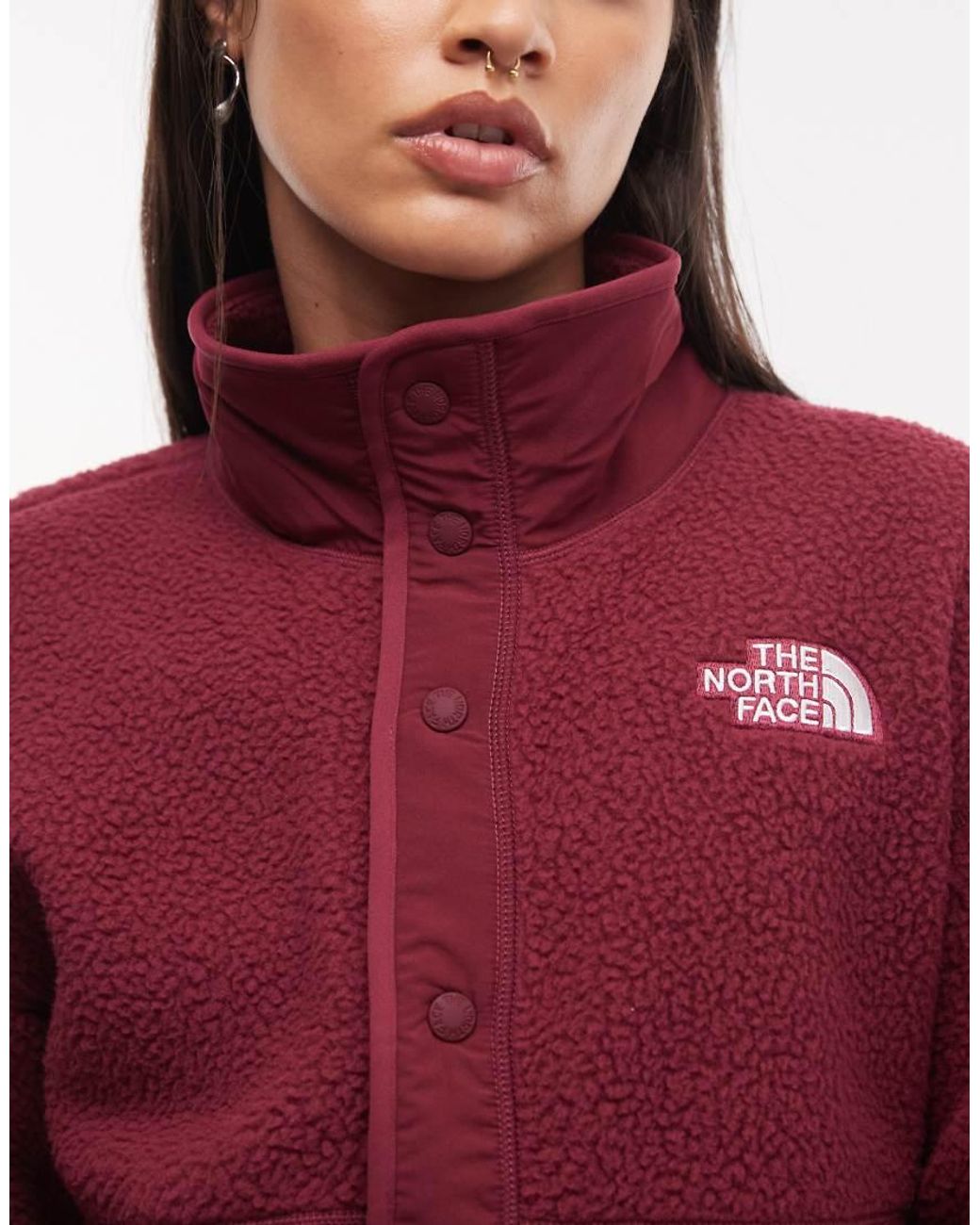The North Face Red Cragmont Snap Front Fleece Jacket
