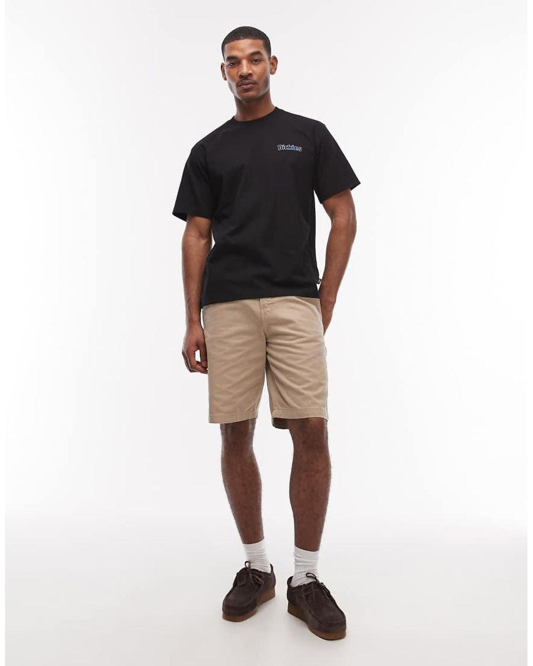 Dickies Fairlawn in het Black voor heren