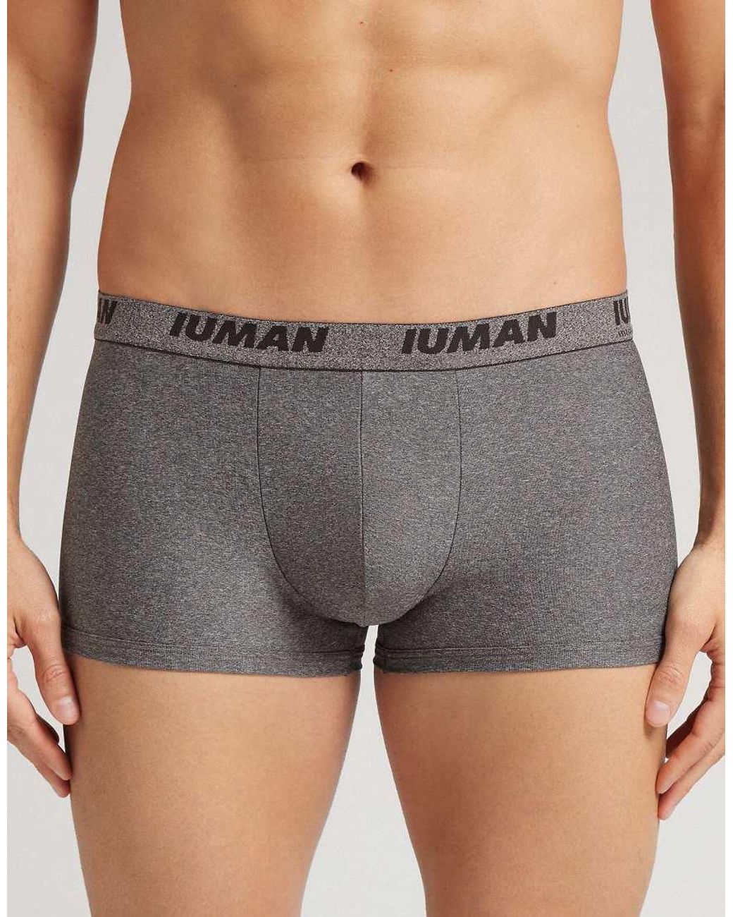 Intimissimi Gray Microfibre Boxers With Logo for men