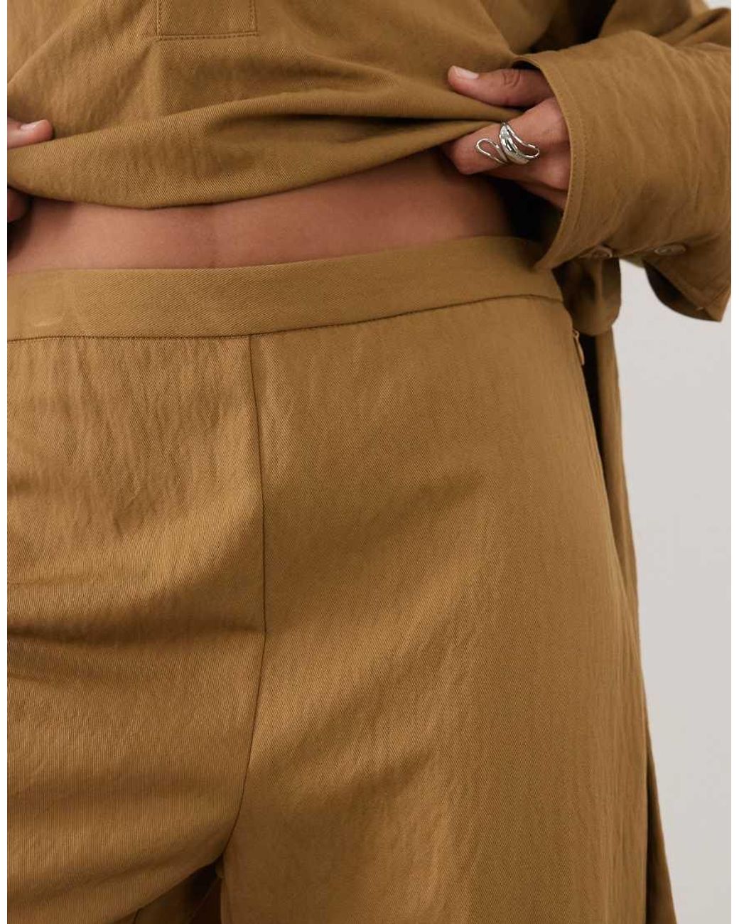 Plan di Mango in Natural