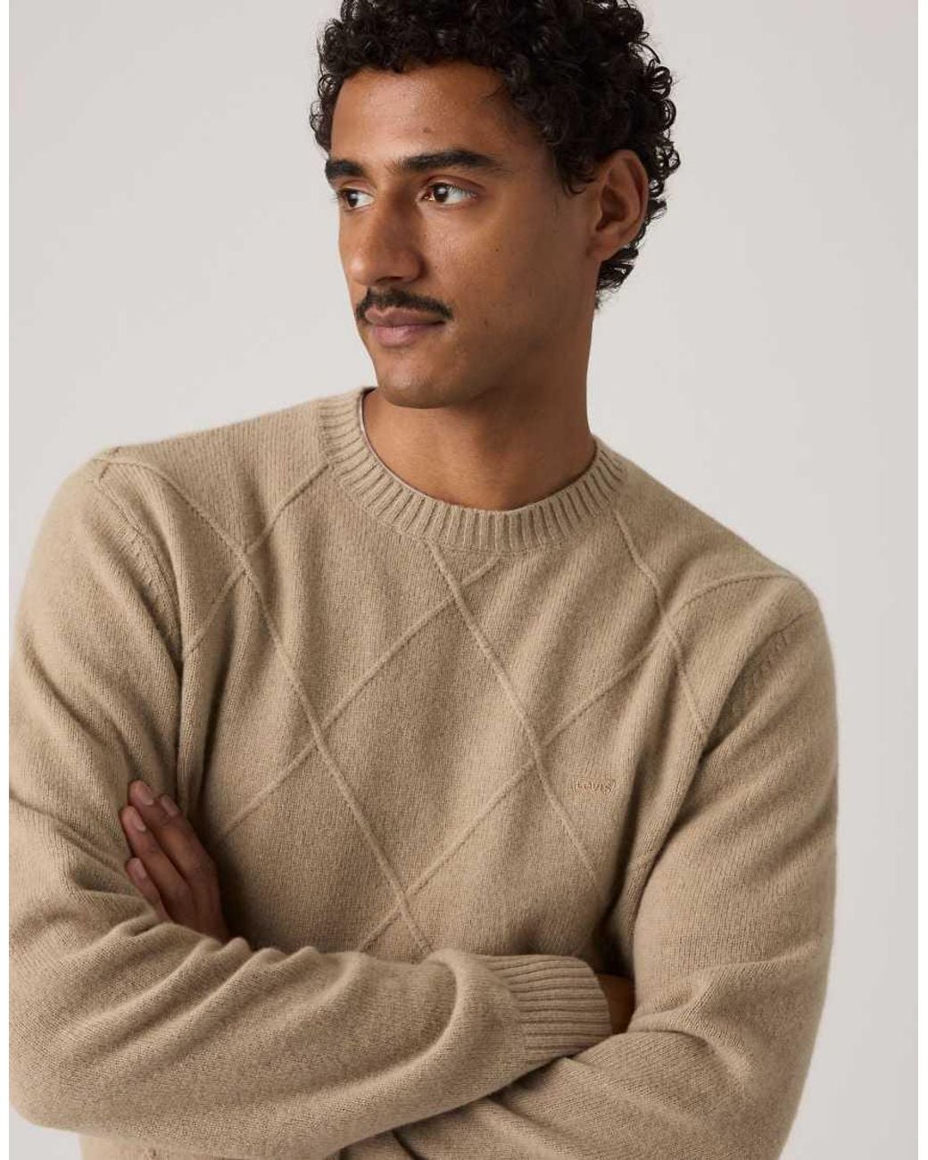 Levi's Natural Original Housemark Sweater for men