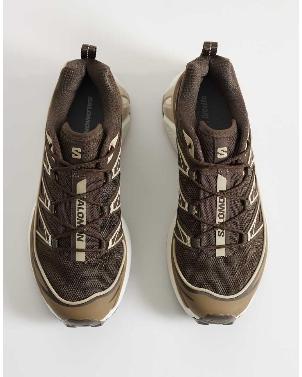 Salomon Brown Xt-6 Expanse Trainers