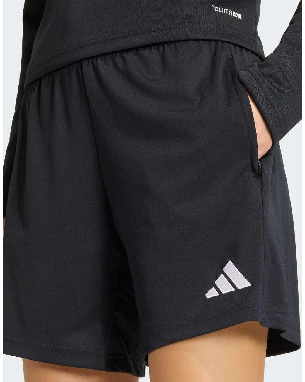 Adidas Originals Black Entrada26 Training Shorts