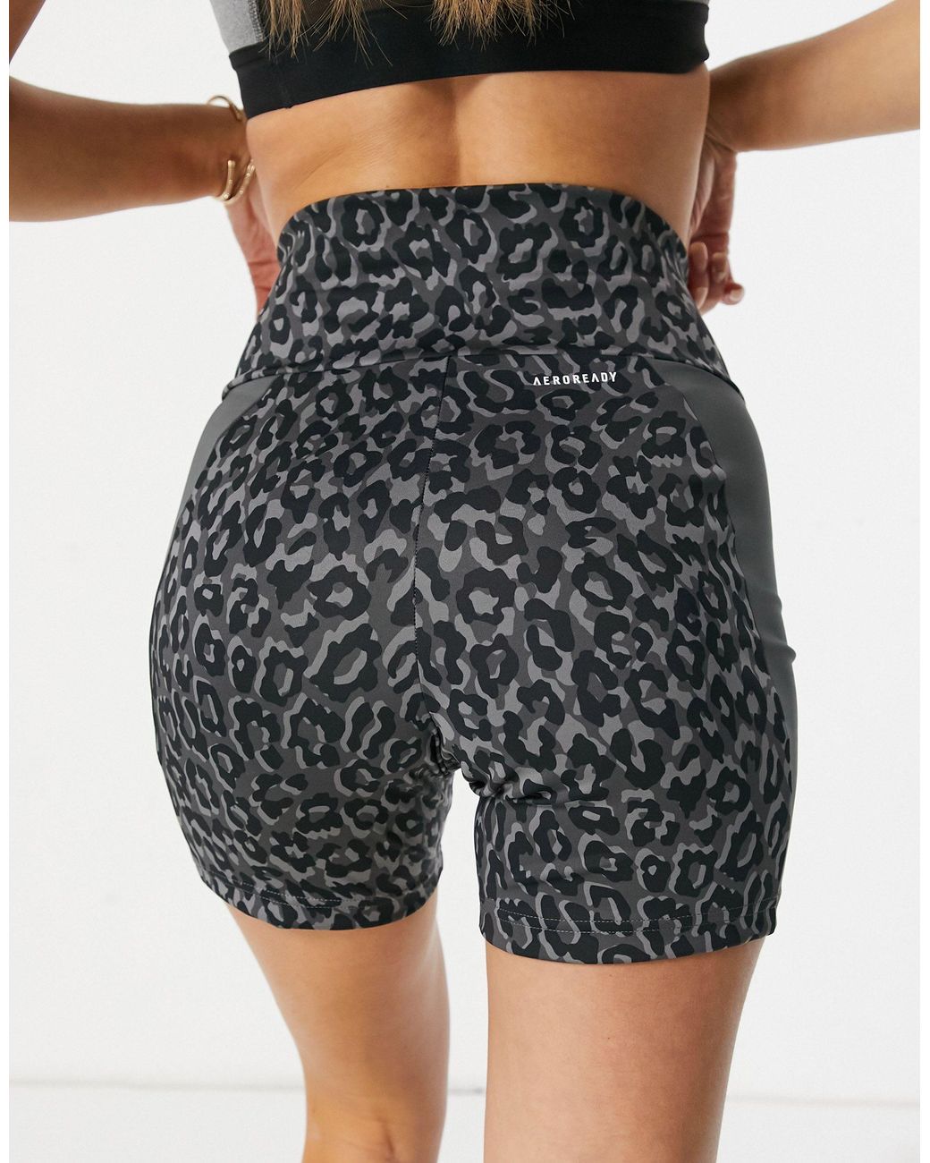 adidas Originals Adidas Training Leopard Print Hi-rise Booty Shorts in Grey  (Grey) - Lyst