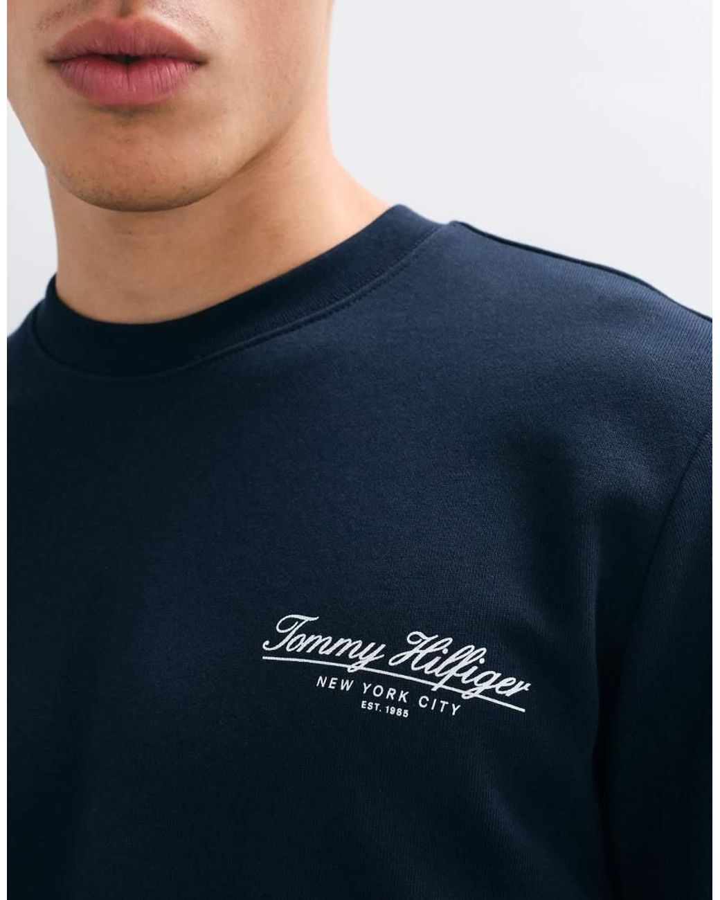 Tommy Hilfiger Blue Script Logo Crew Neck Sweatshirt for men