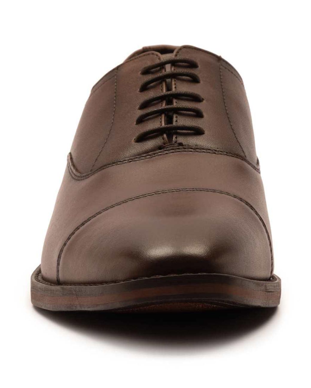 Thomas Crick Brown Merlin Leather Oxford Toecap Shoes for men
