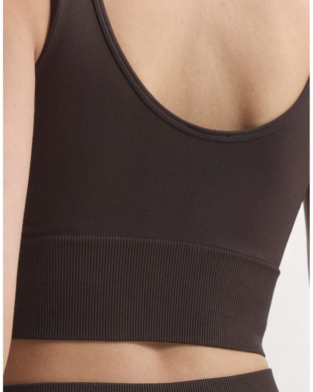 Adidas Originals Multicolor Essentials Seamless Bralette