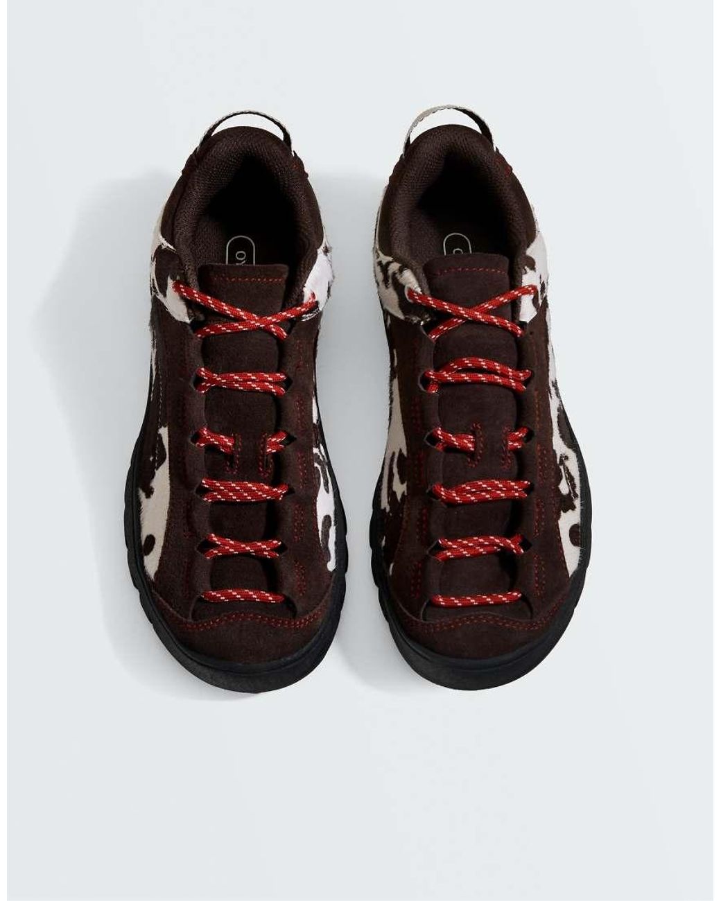 Oysho Black Animal Print Trainers