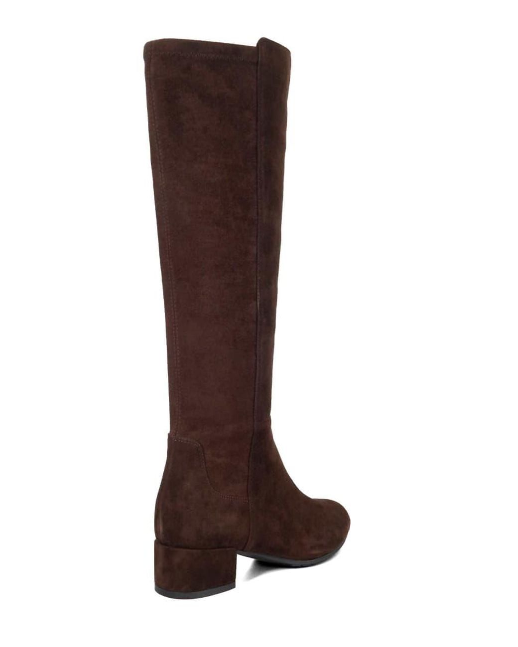 Dune Brown Tayla Suede Boots