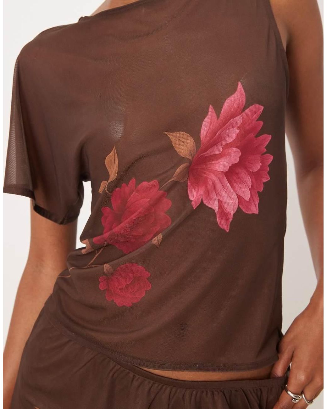 Motel Balsa in het Red