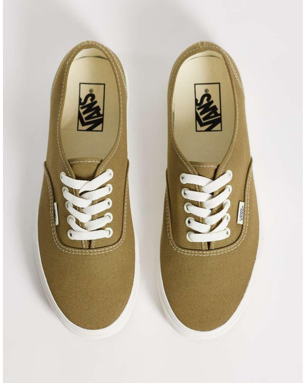 Authentic di Vans in Green