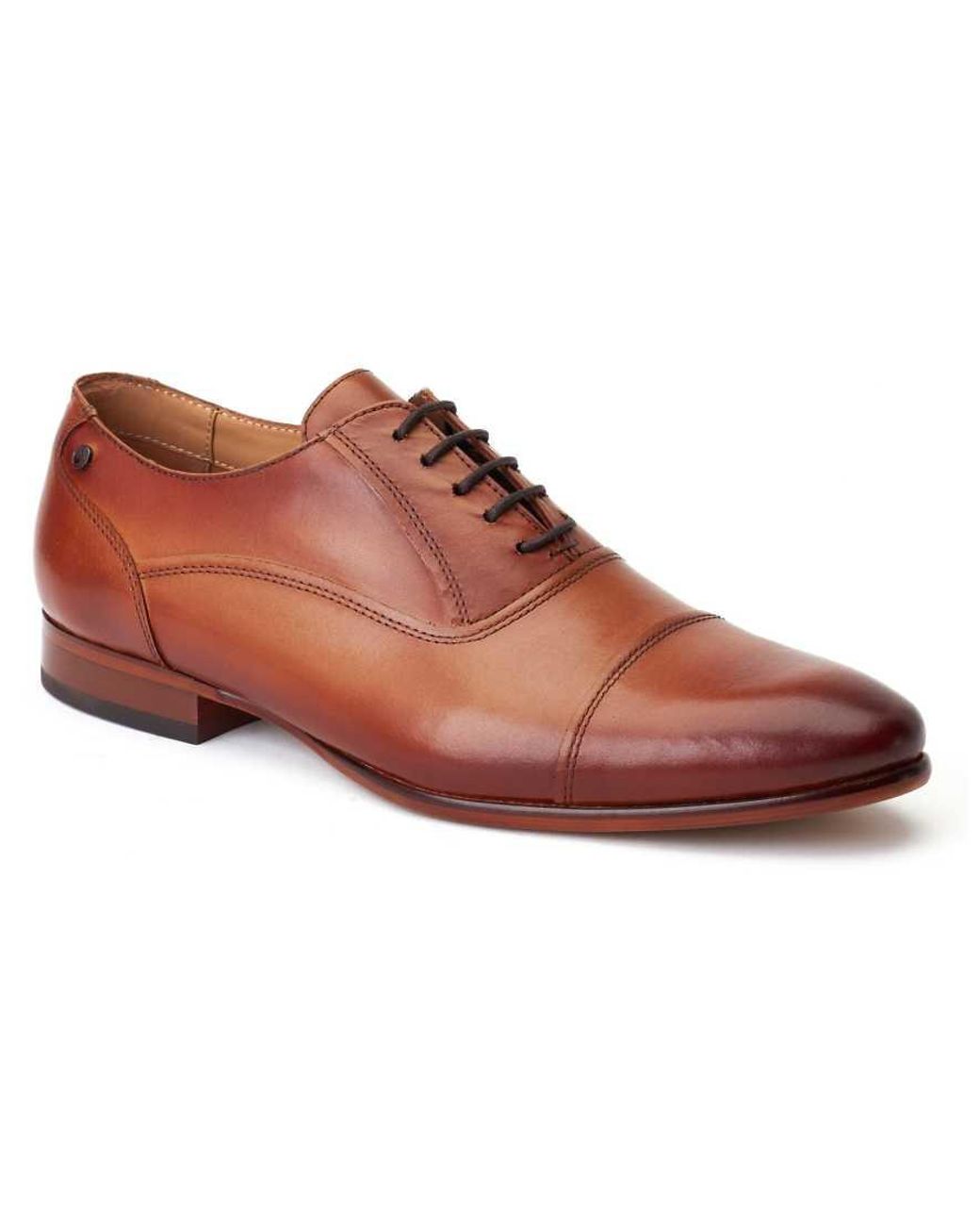 Base London Brown Angelo Derby for men