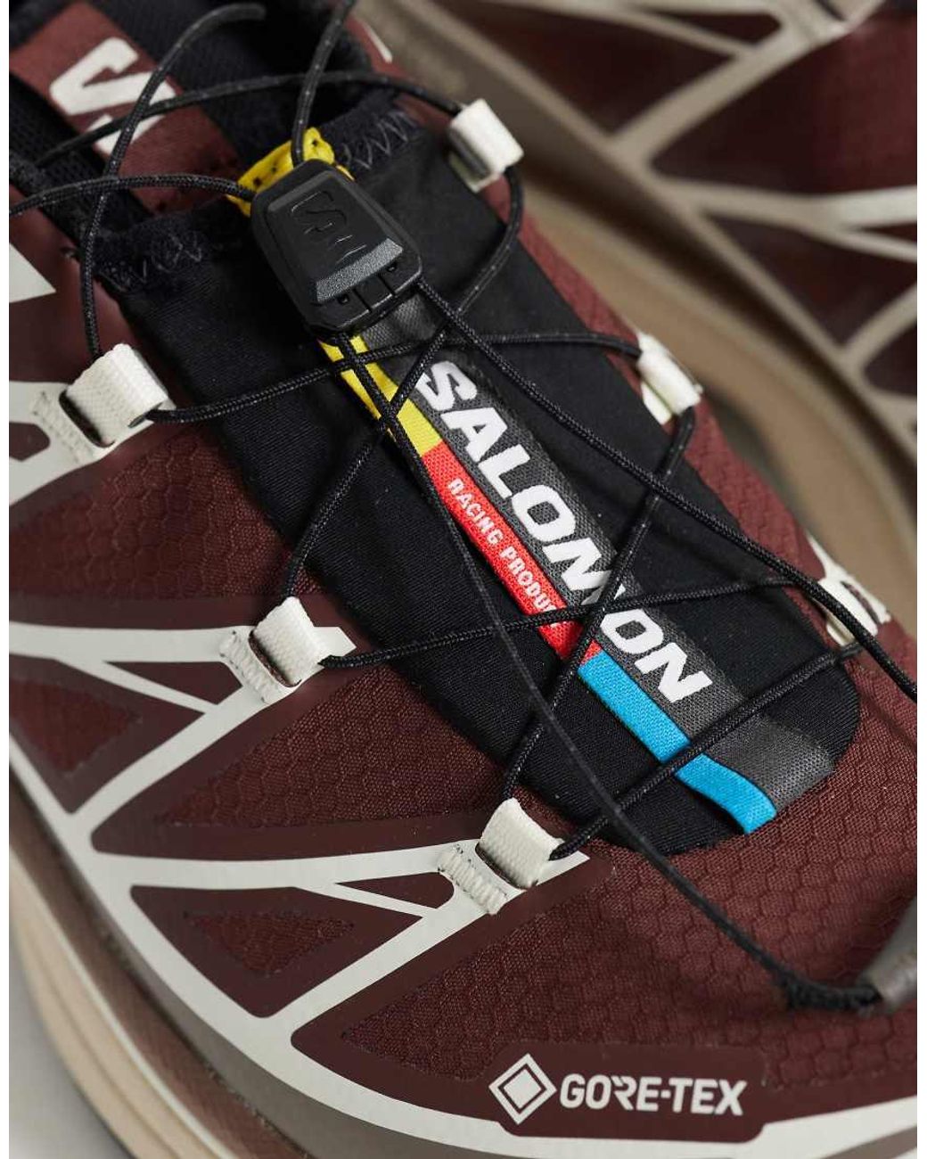 Salomon Brown Xt-6 Gtx Trainers