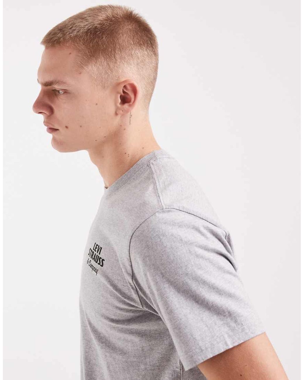 Levi's Gray Western Back Graphic Relaxed T-Shirt for men