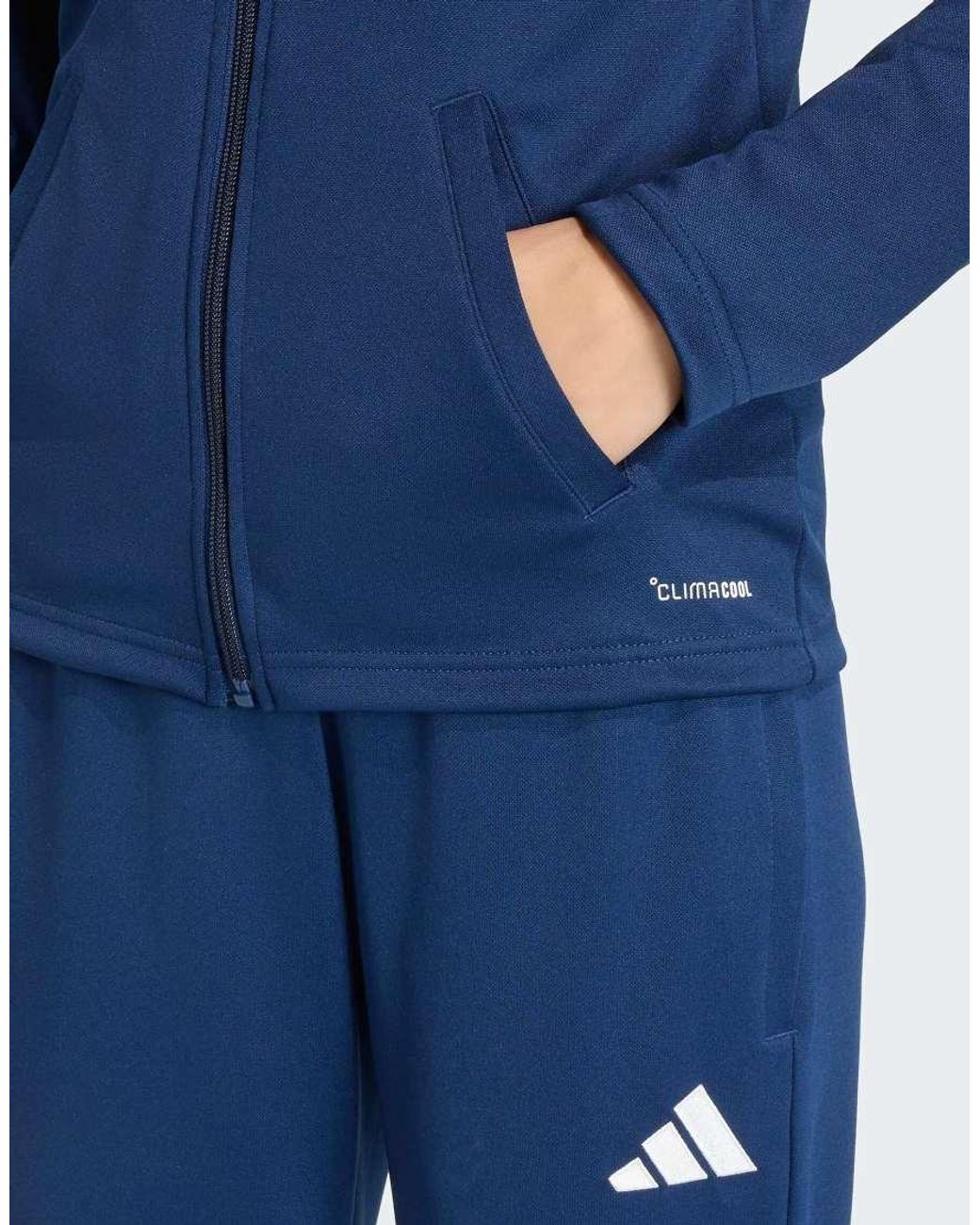 Adidas Originals Blue Entrada26 Track Jacket
