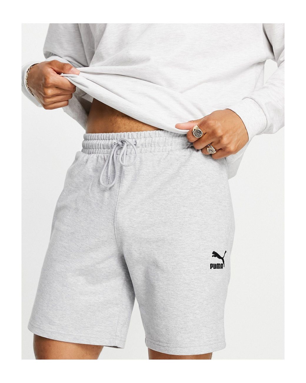 puma rx s winterized