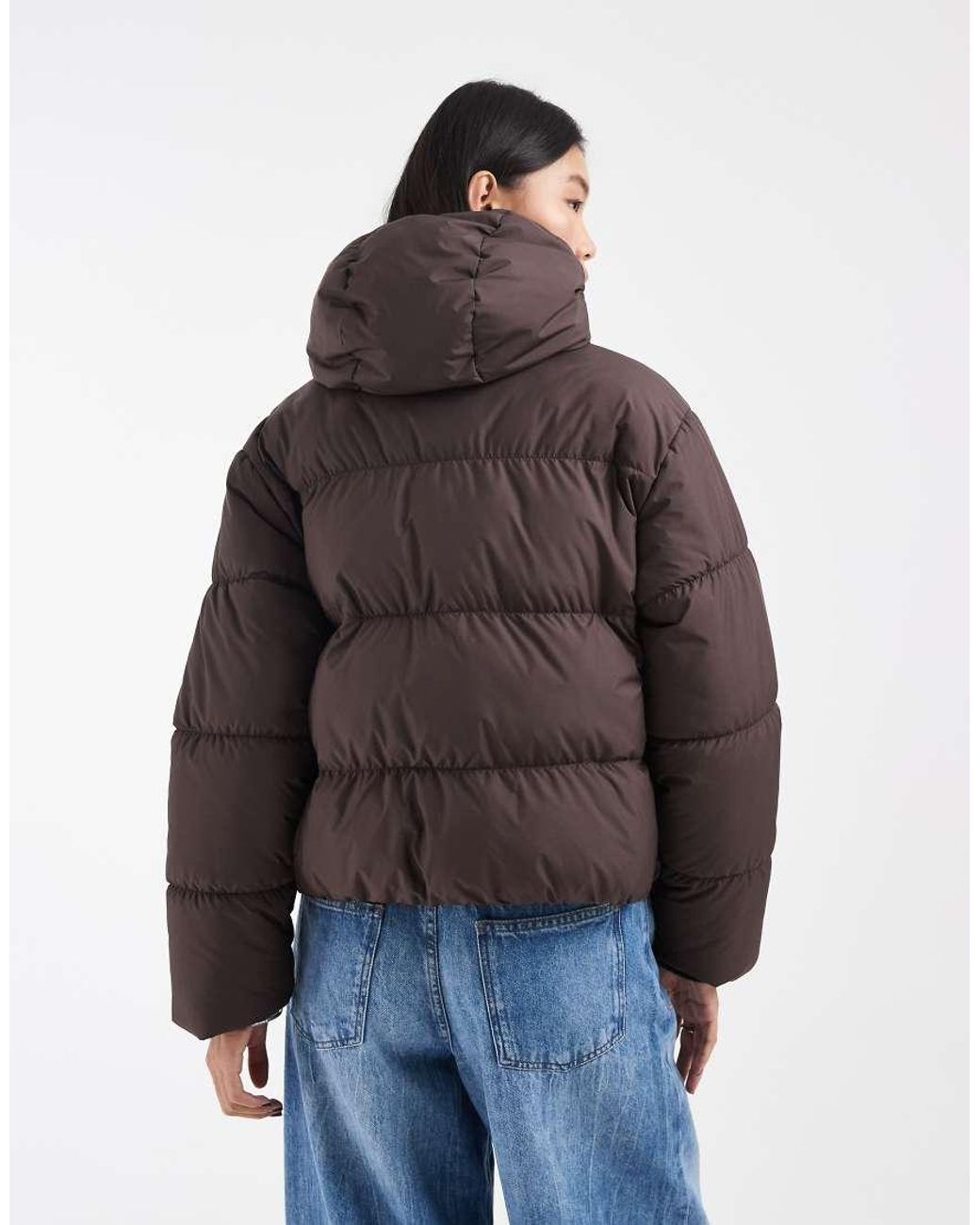 Adidas Originals Brown Padded Hooded Jacket