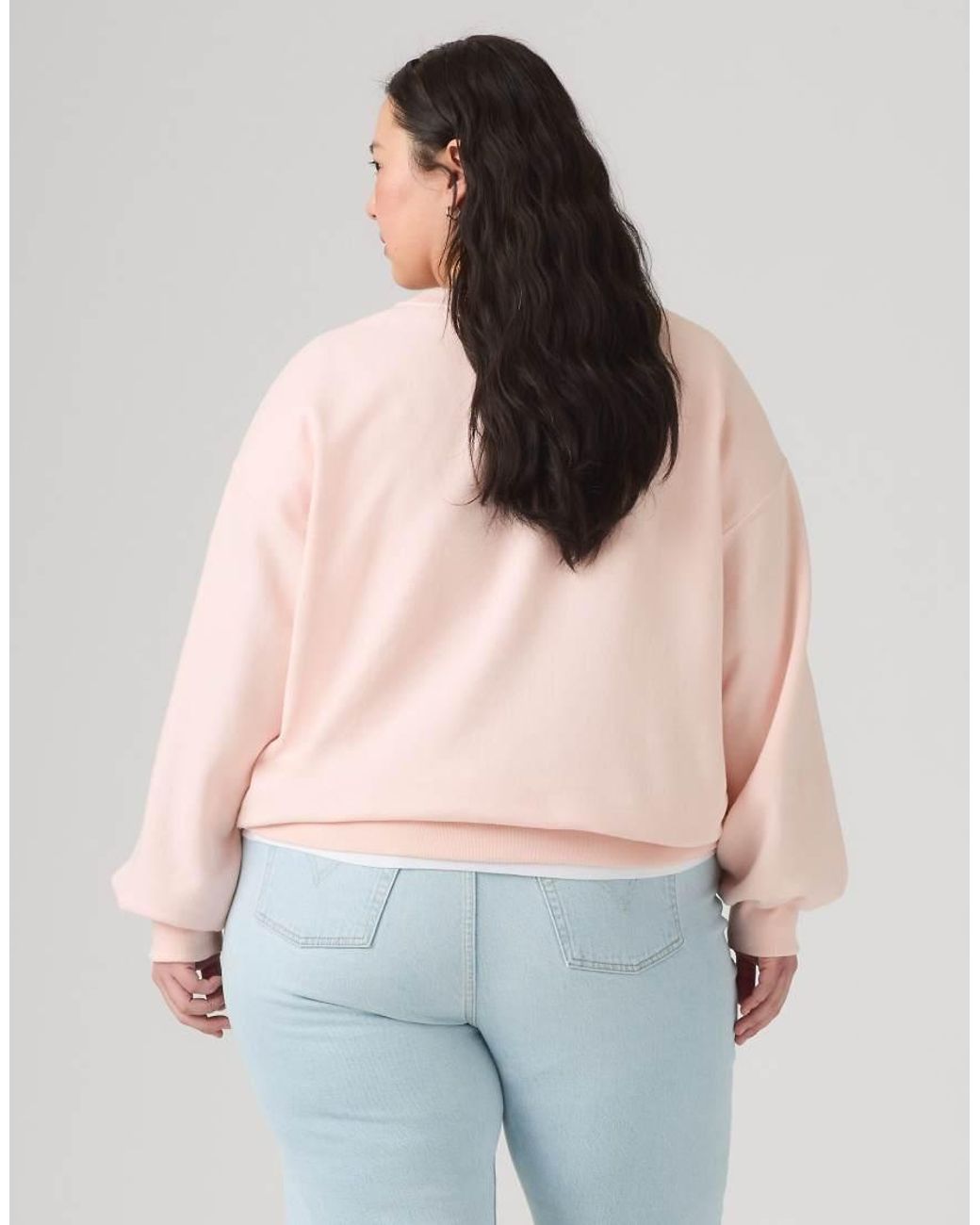Levi's Multicolor Everyday Crewneck Sweatshirt (Plus Size)