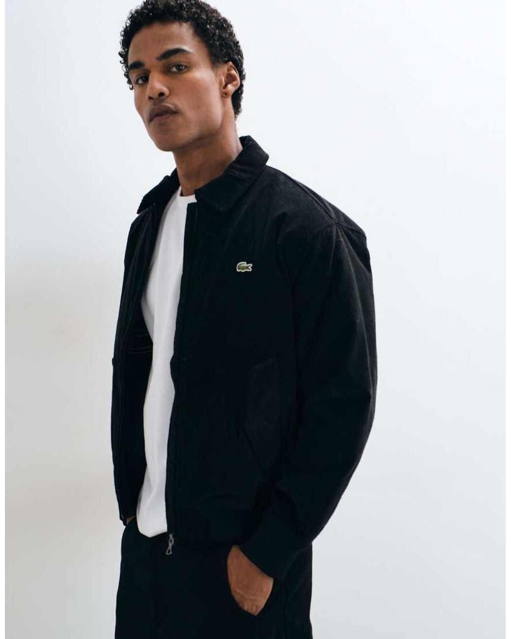 Lacoste Blue Padded Cord Aviator Jacket for men