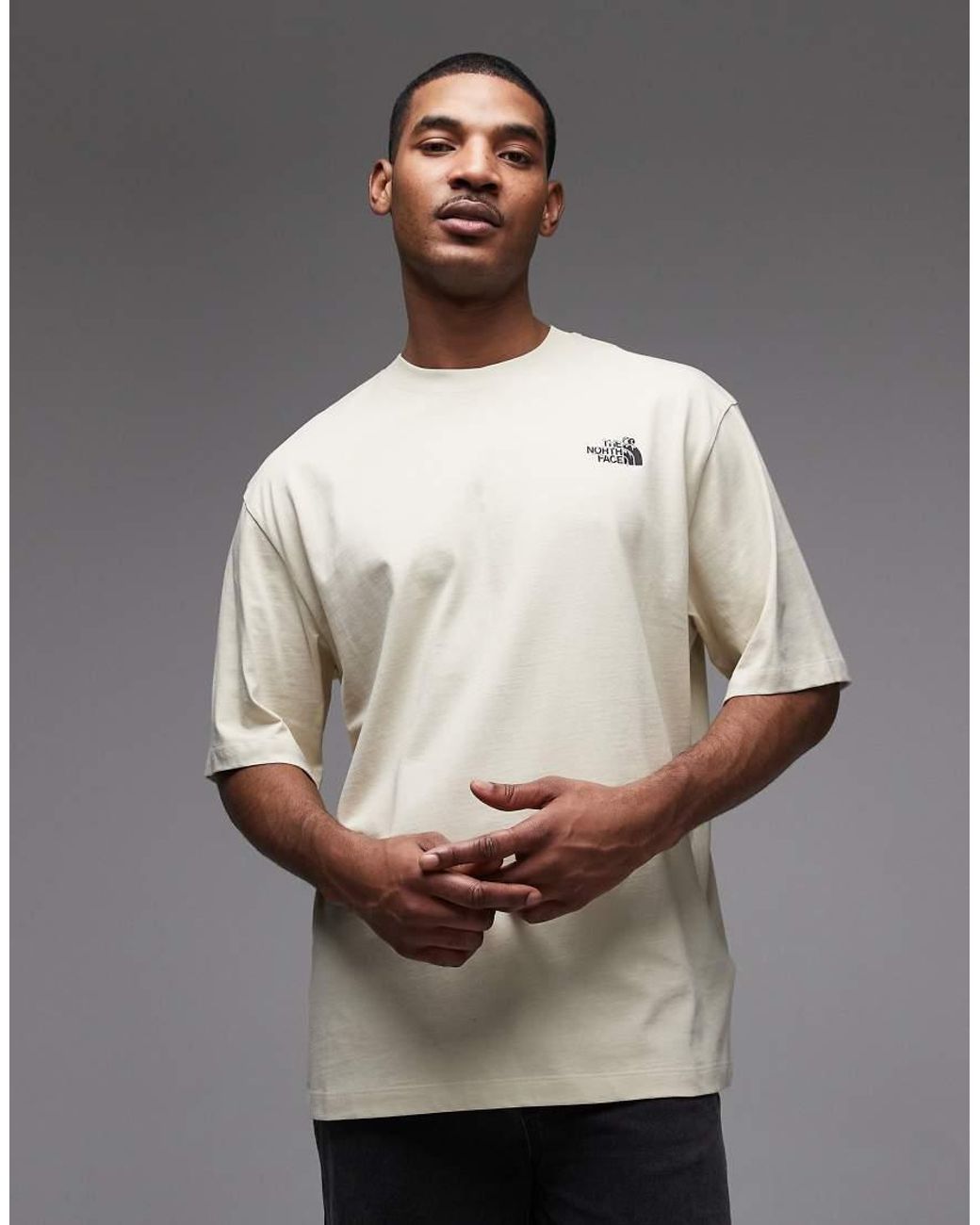 The North Face Gray Food Fun Back Print T-shirt for men