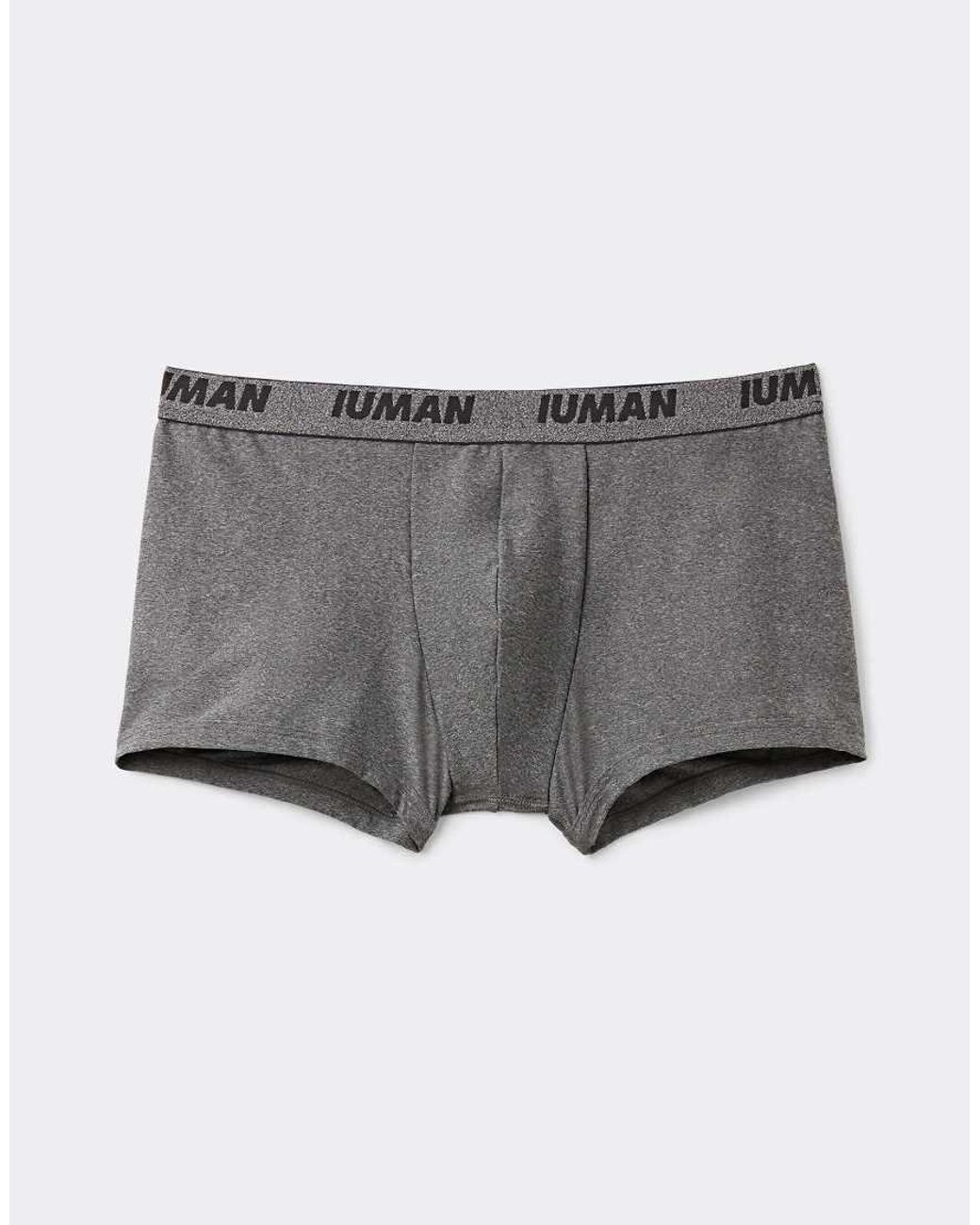 Intimissimi Gray Microfibre Boxers With Logo for men