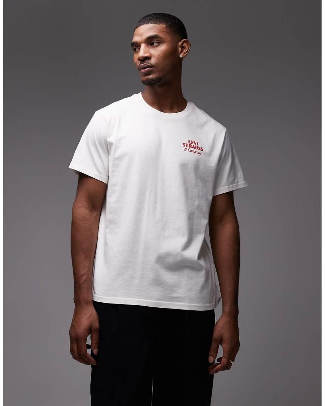 Levi's Gray Western Back Graphic Relaxed T-Shirt for men