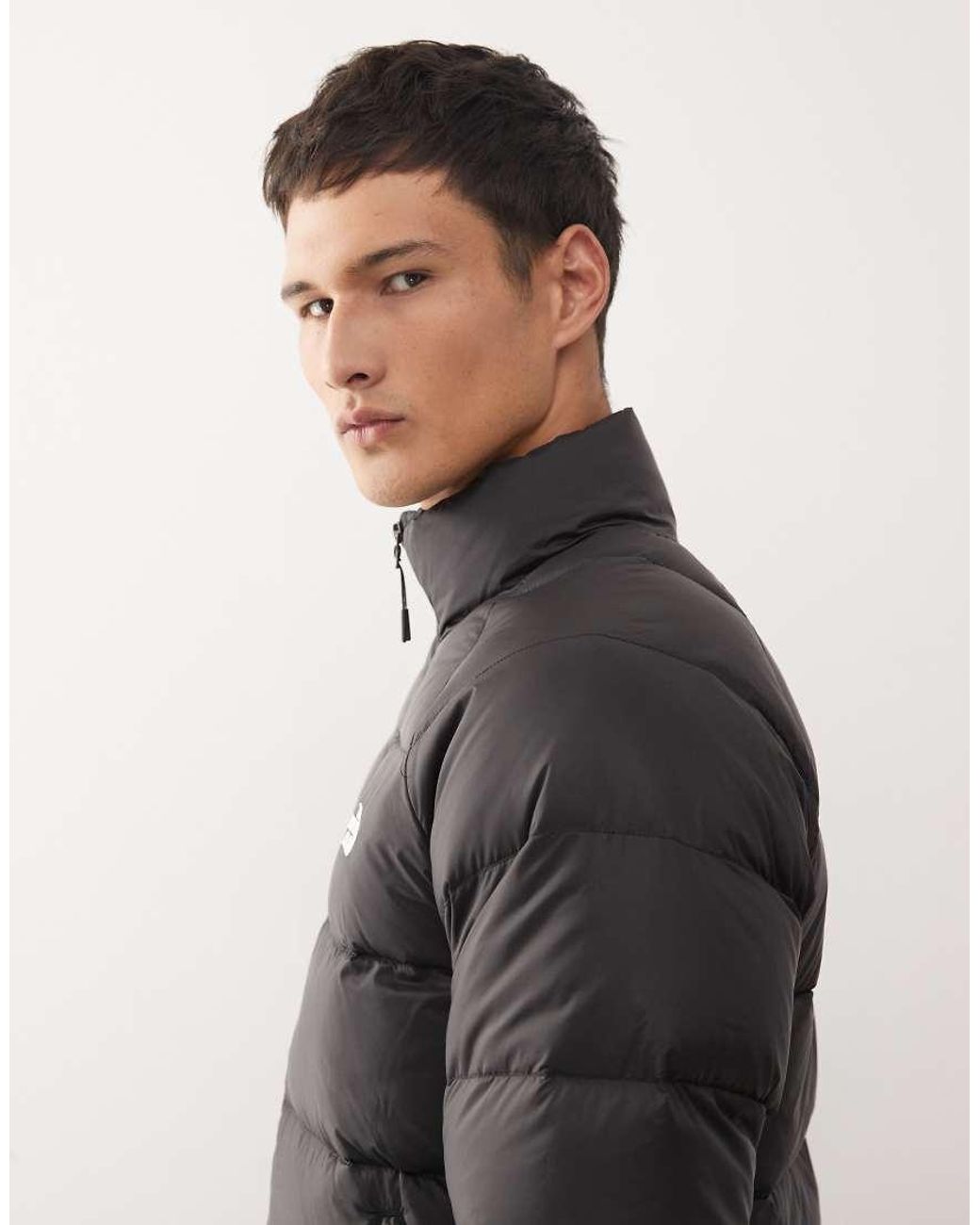 The North Face Gray Hydrenalite Puffer Jacket for men