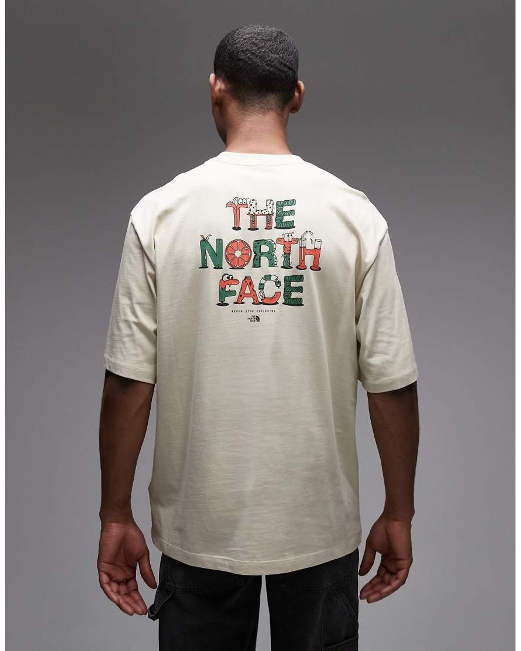The North Face Gray Food Fun Back Print T-shirt for men