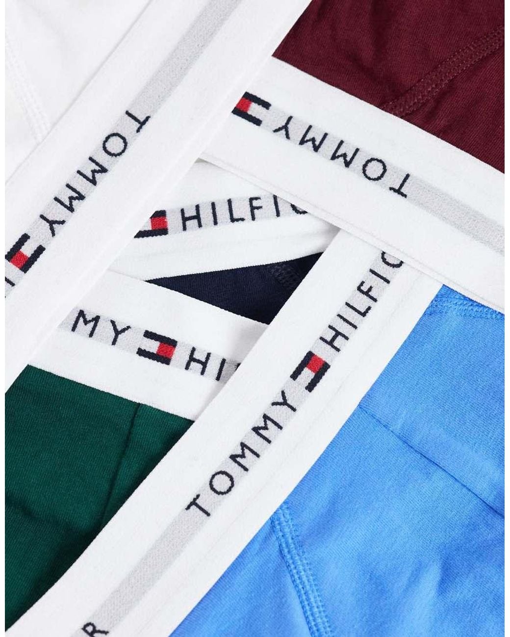 Tommy Hilfiger Blue Signature Cotton 5 Pack Briefs for men