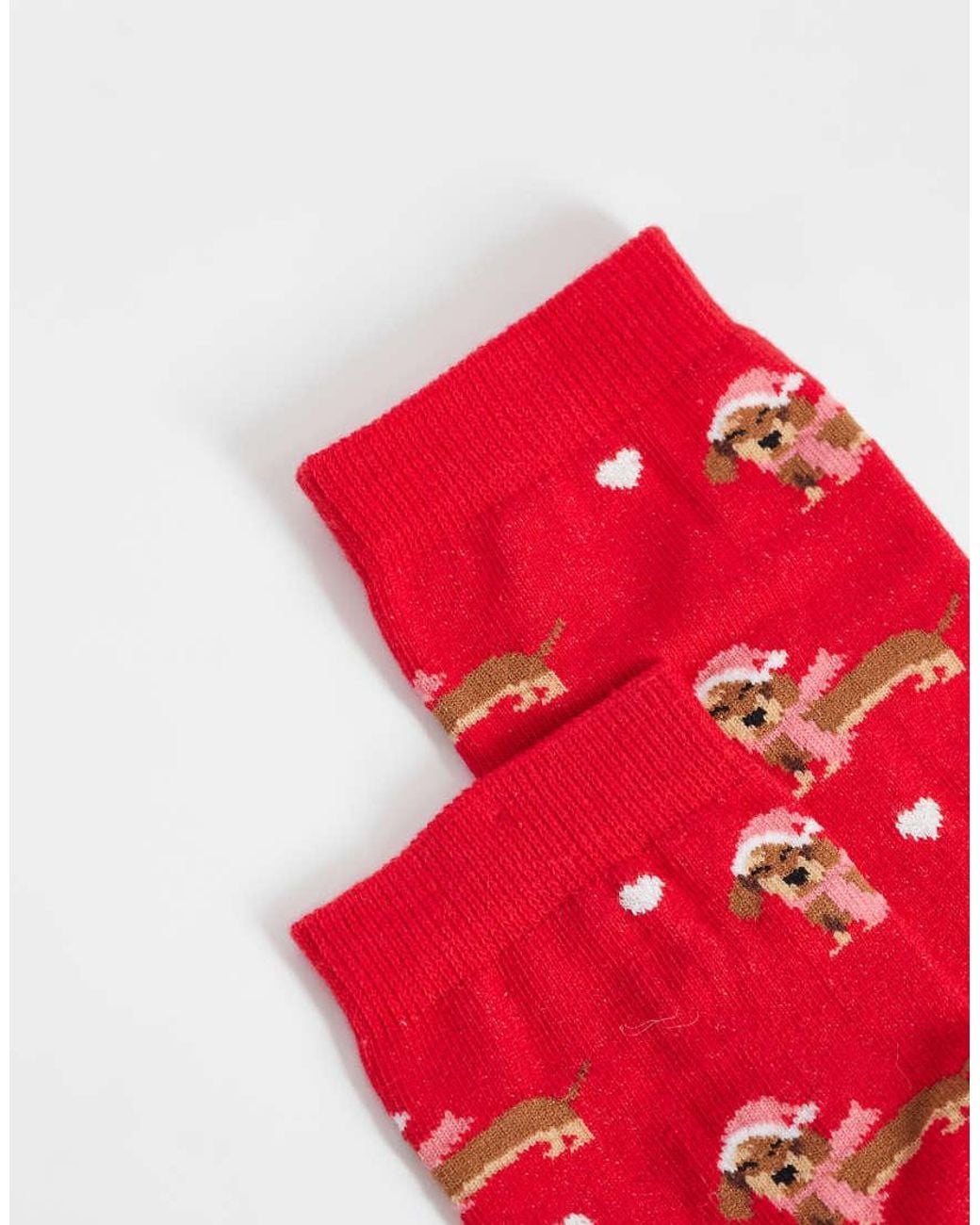 Accessorize Red Christmas Dog Socks