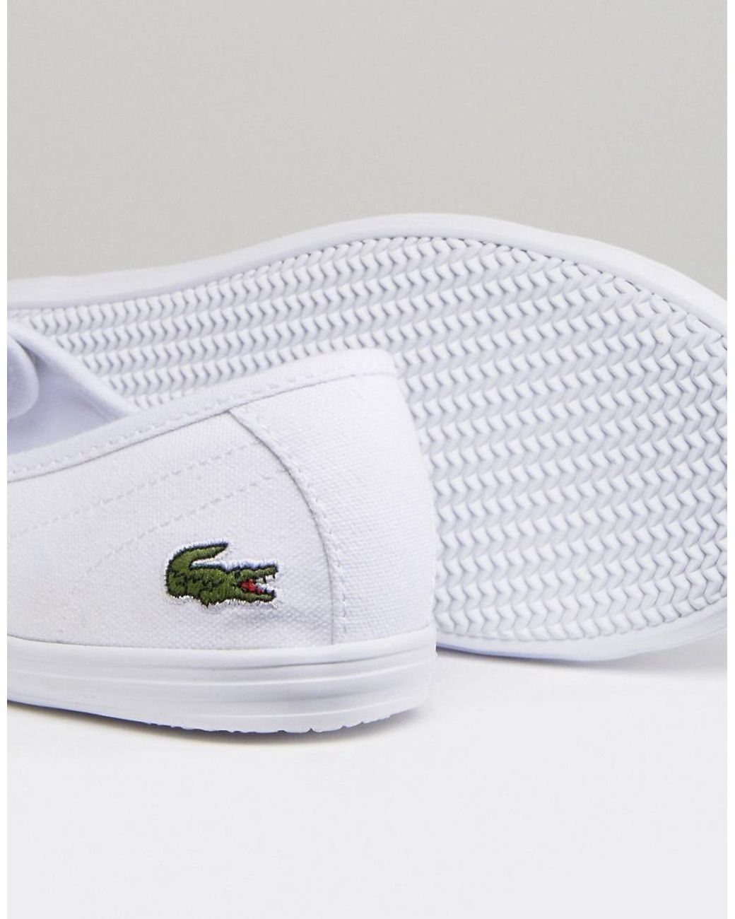 Lacoste ziane cheap canvas