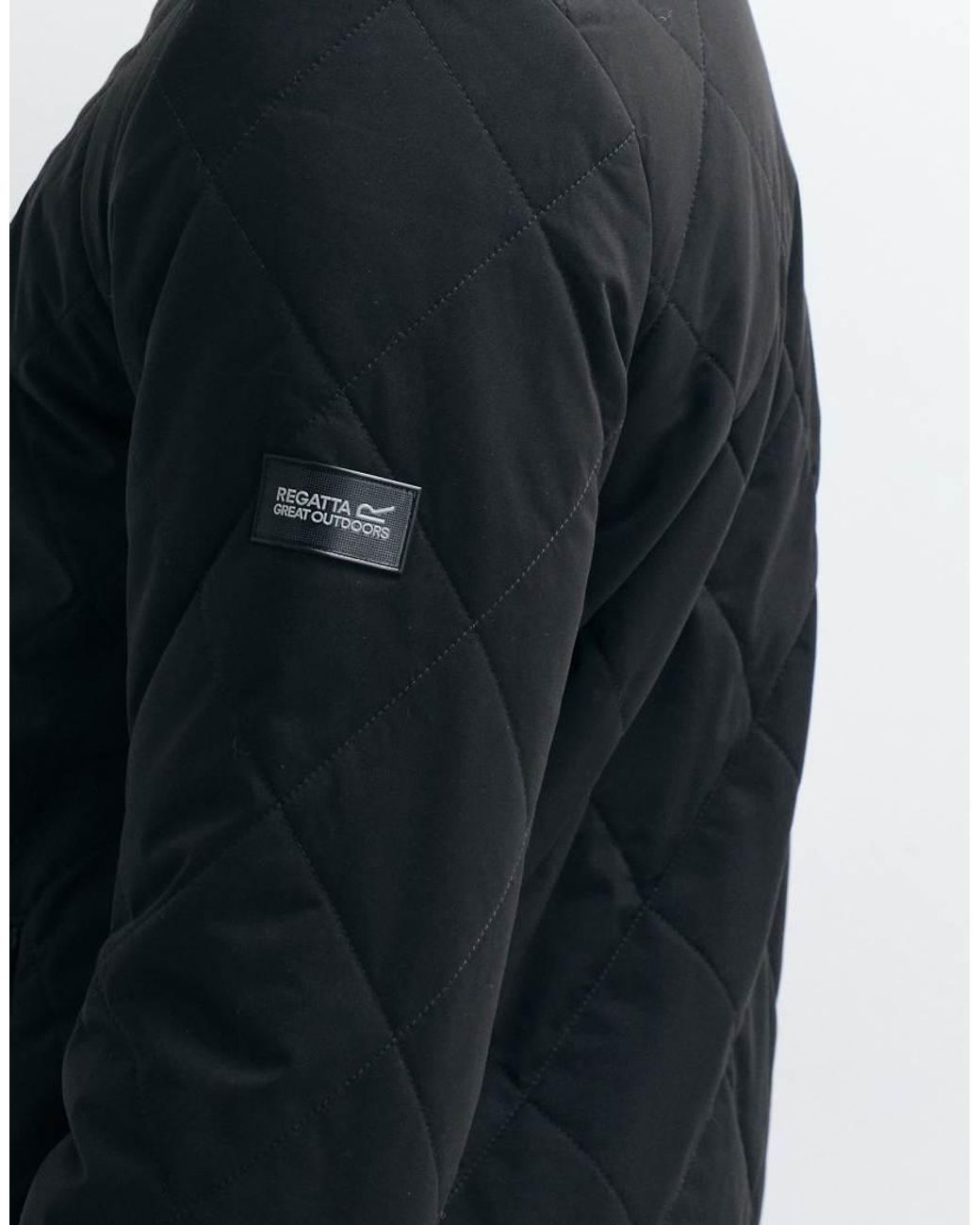 Regatta Blue Insulated Harvin Quilted Jacket for men