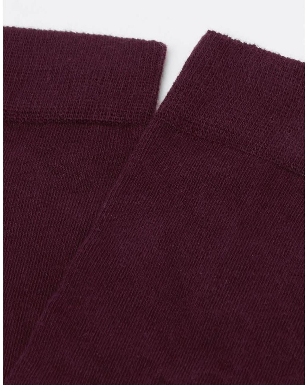 Calzedonia Purple Long Satin Cotton Socks
