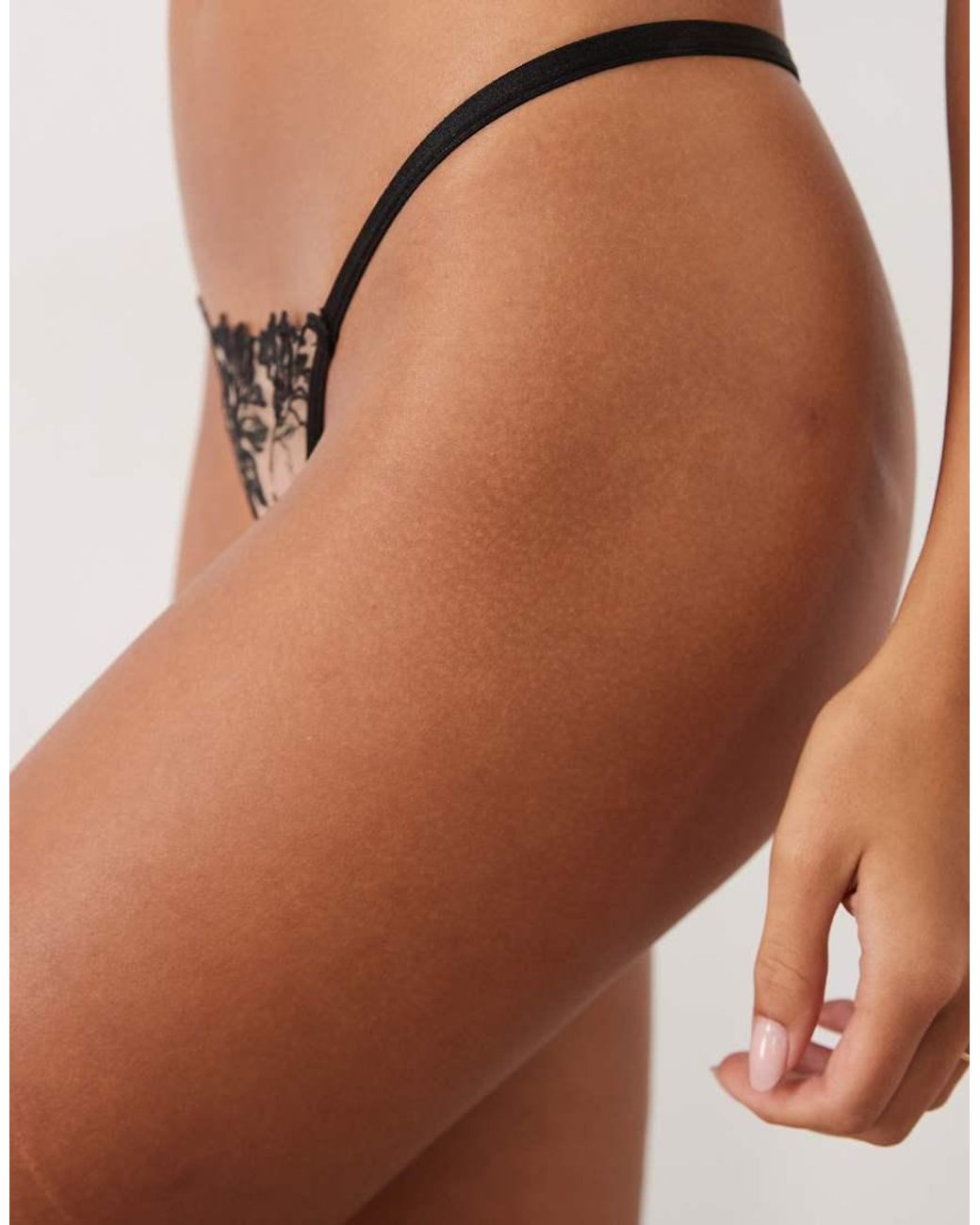 Bluebella Brown Samara Embroidered Mesh Thong