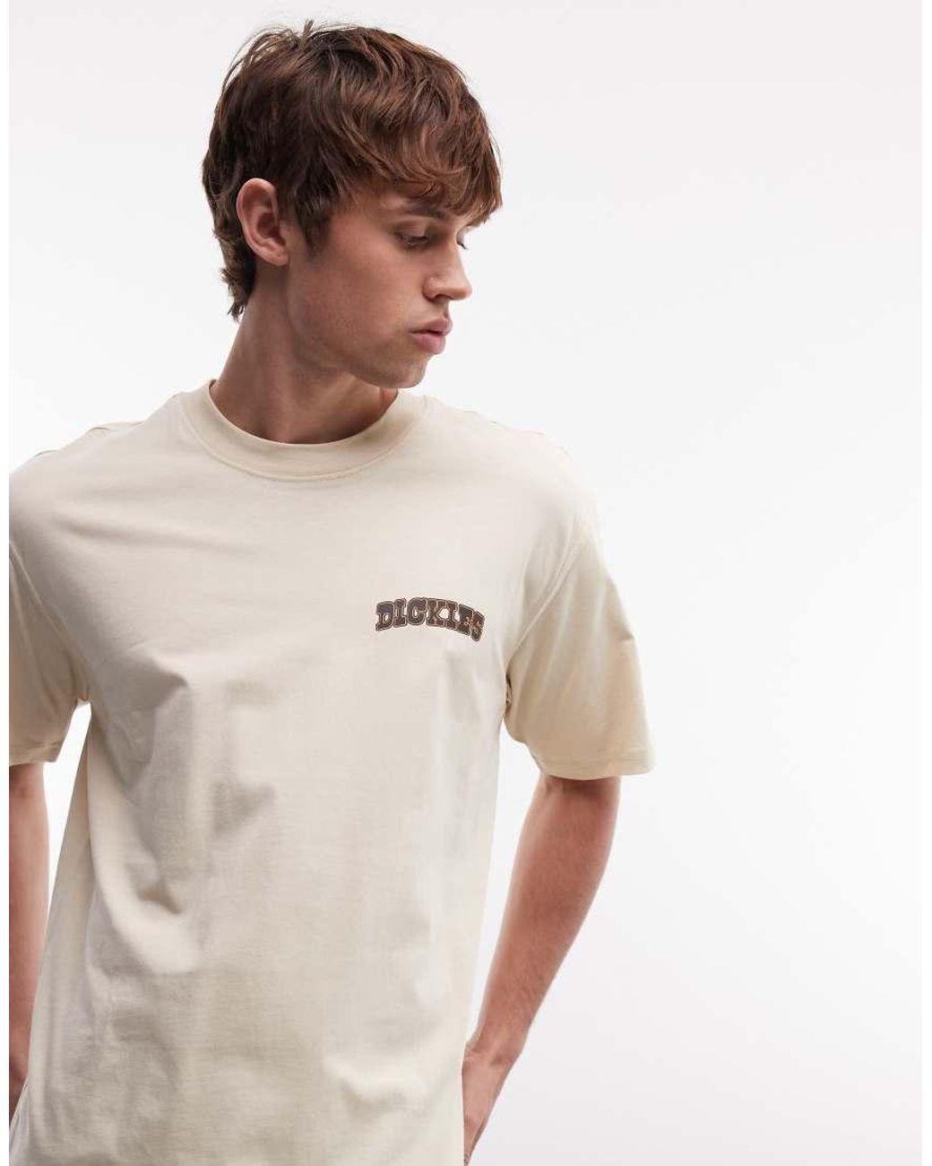 Dickies Gray Elk Ridge Backprint T-shirt for men
