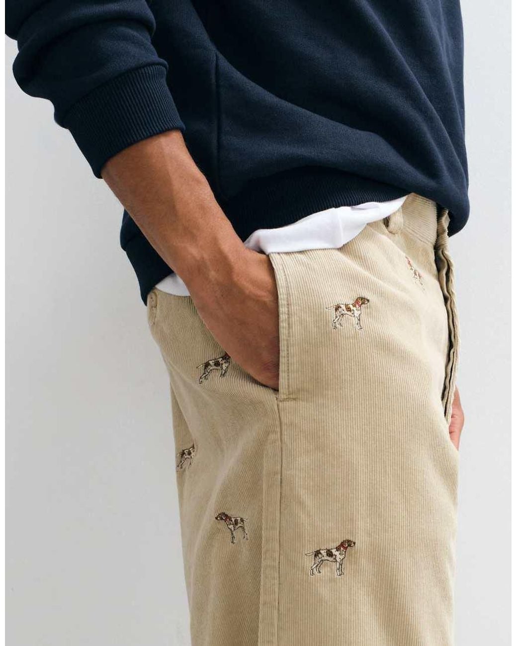 Polo Ralph Lauren Blue Woven Trousers for men