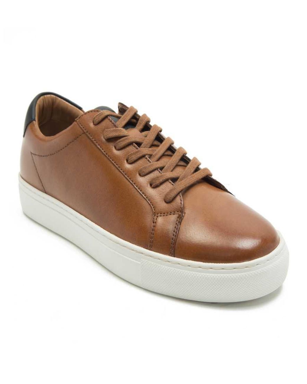 Thomas Crick Brown 'Evers' Casual Lace-Up Leather Sneakers for men