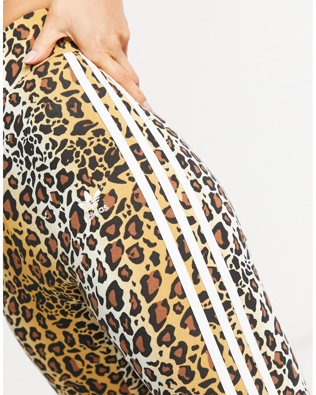 adidas Originals leopard Luxe legging Shorts in BrownLystadidas originals  animal print leggings 