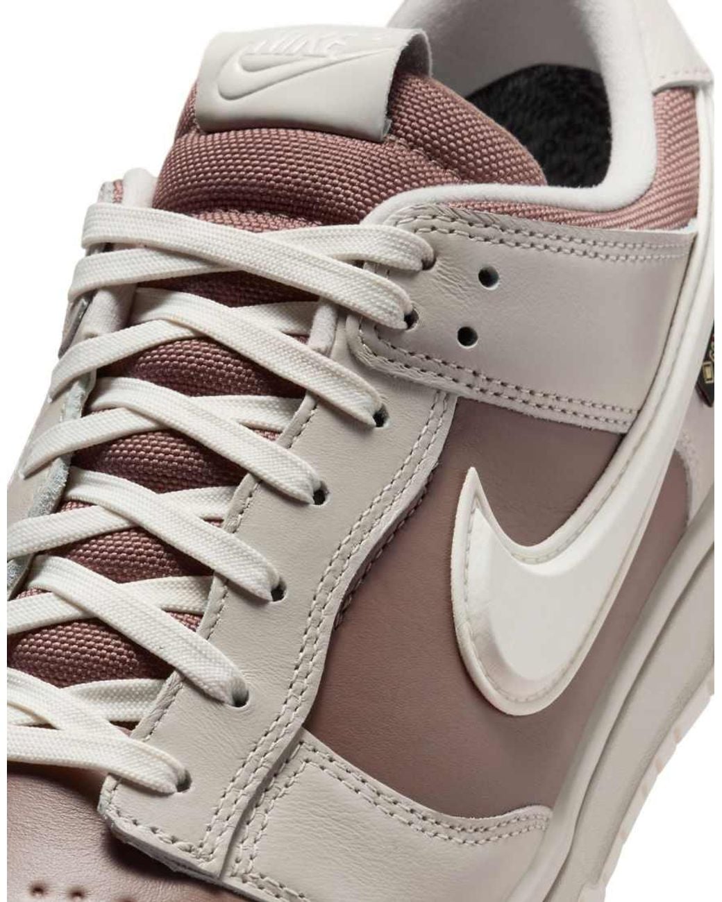 Nike Brown Dunk Low Gore-Tex Trainers for men