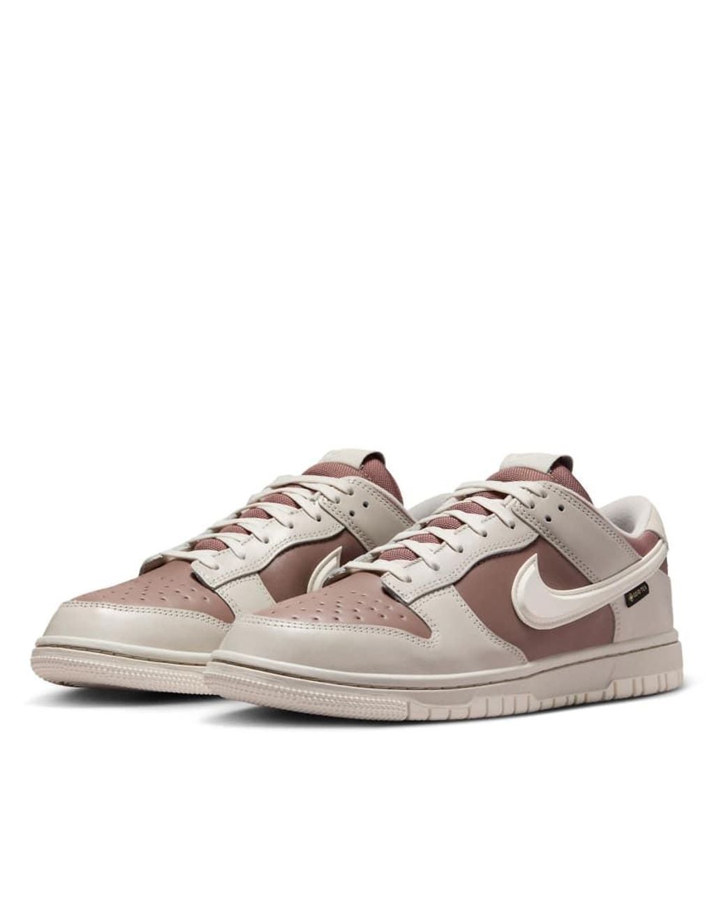 Nike Brown Dunk Low Gore-Tex Trainers for men