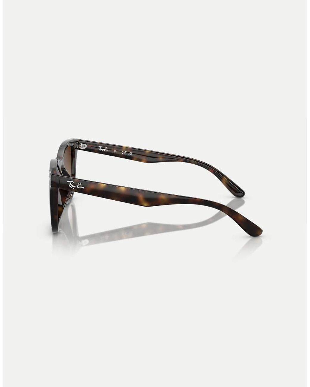 Ray-Ban Brown Sunglasses