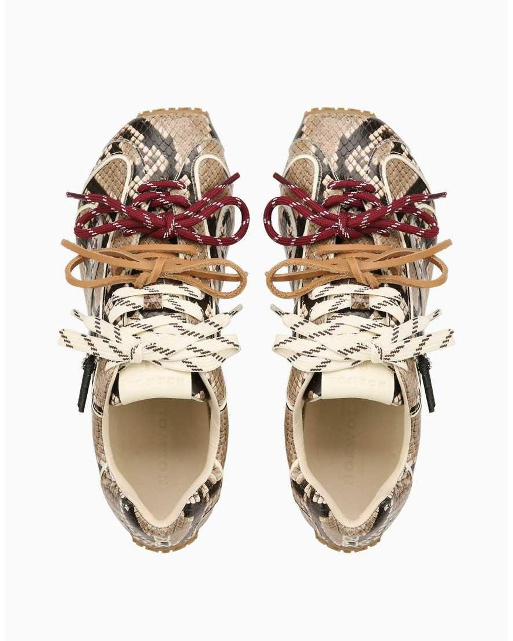 Nokwol Multicolor Beat Sneaker