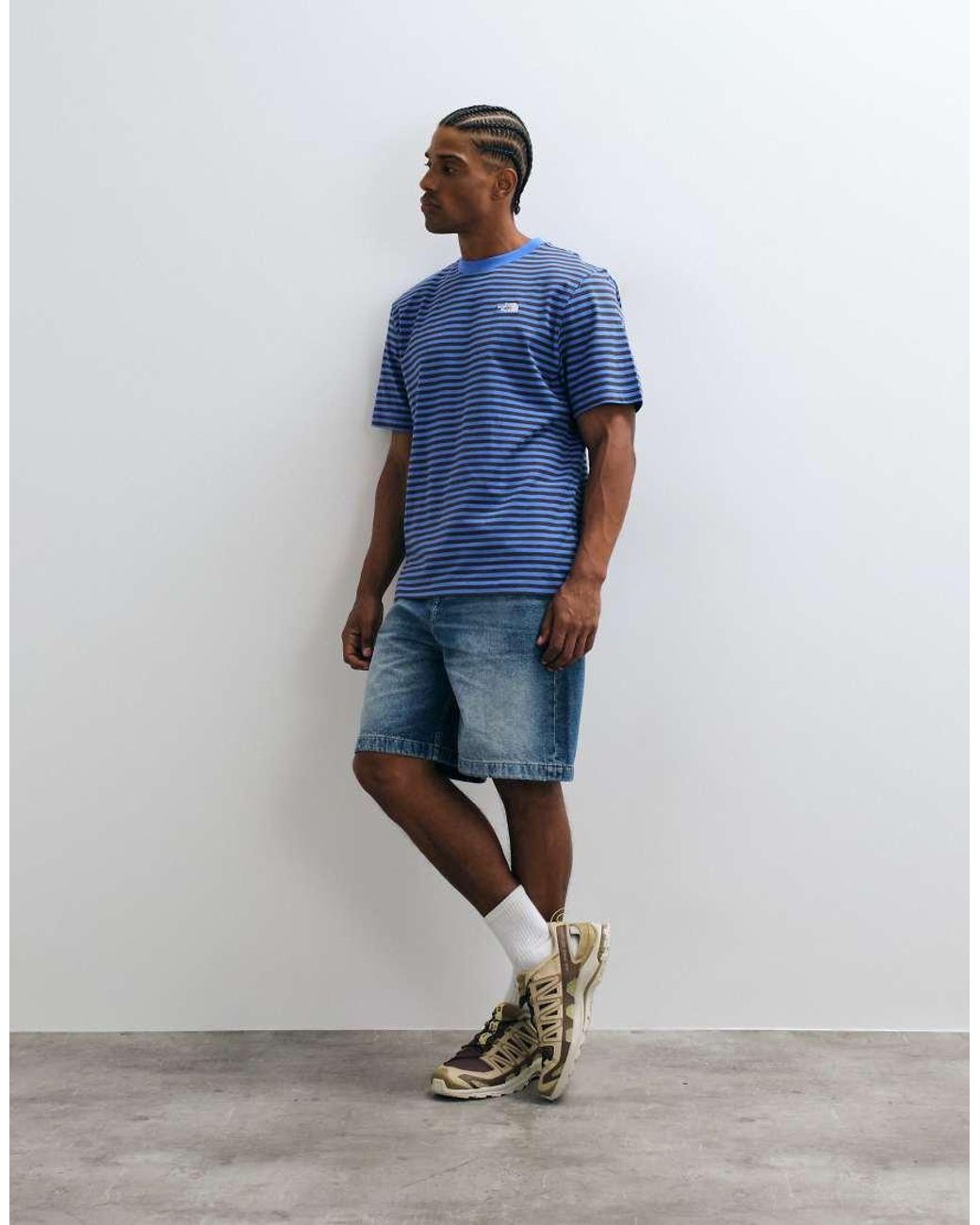 The North Face Blue Vista Stripe T-shirt for men