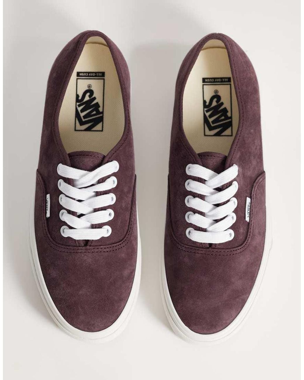 Vans Purple Authentic Trainer for men