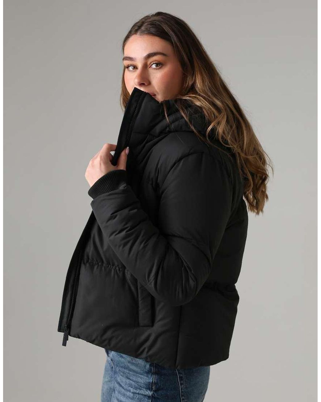 French Connection Black Short Padded Hooded Puffer Zip Jacket