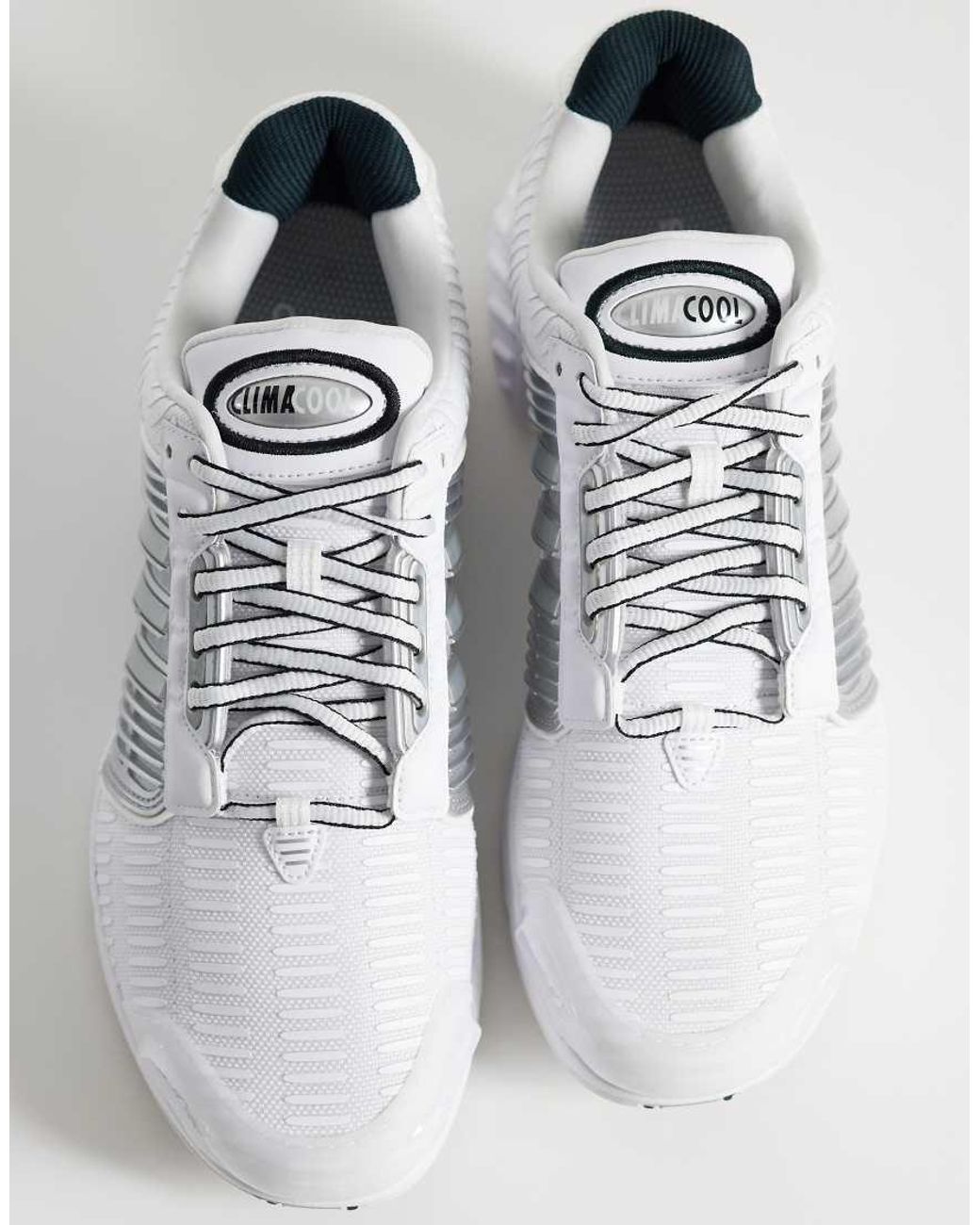 Adidas Originals White Climacool Trainers for men